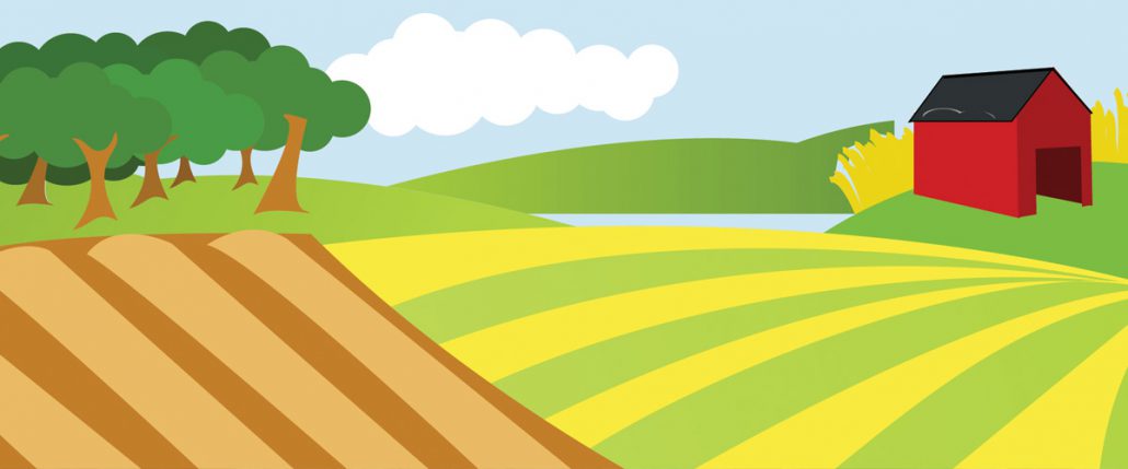 azienda agricola