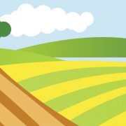 azienda agricola