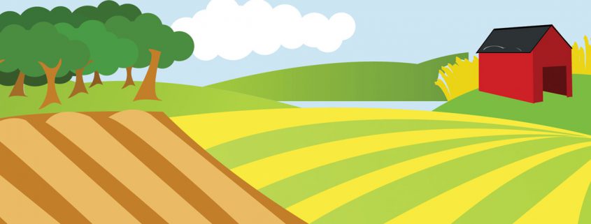 azienda agricola