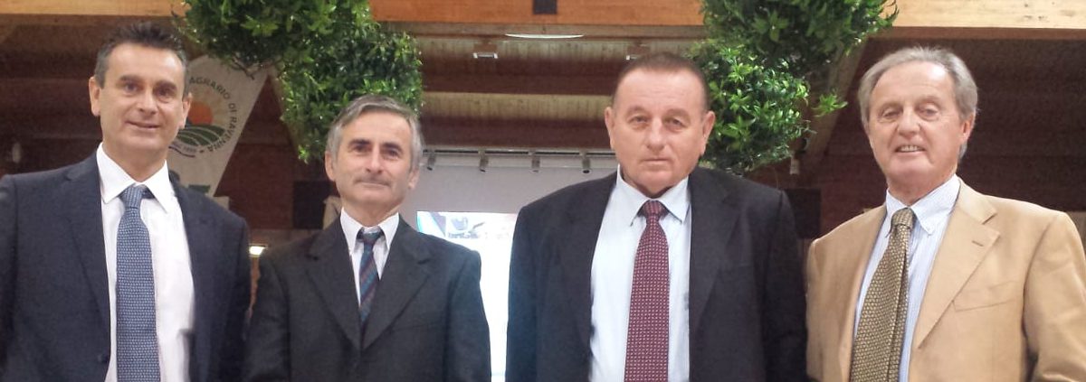 Assemblea Apimai 2018