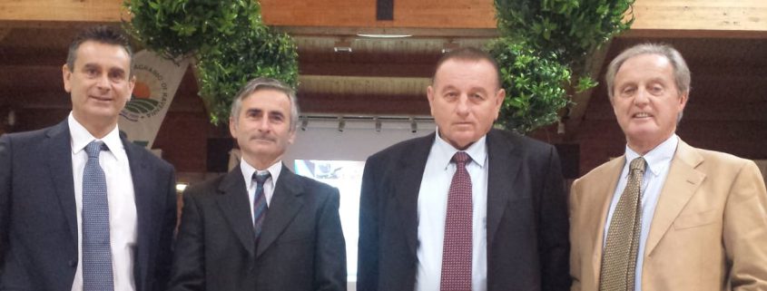 Assemblea Apimai 2018