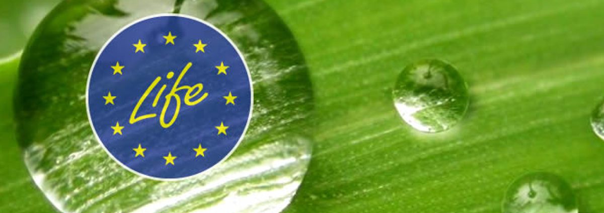 Ambiente Europa
