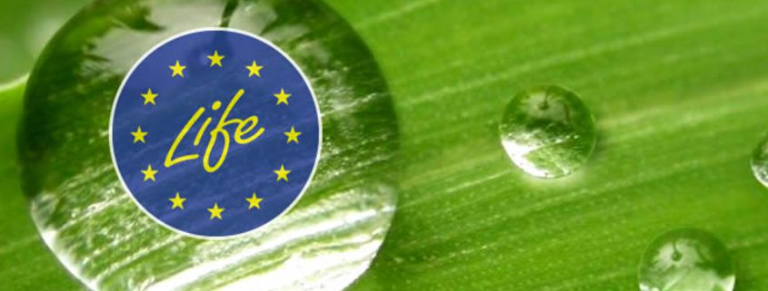 Ambiente Europa